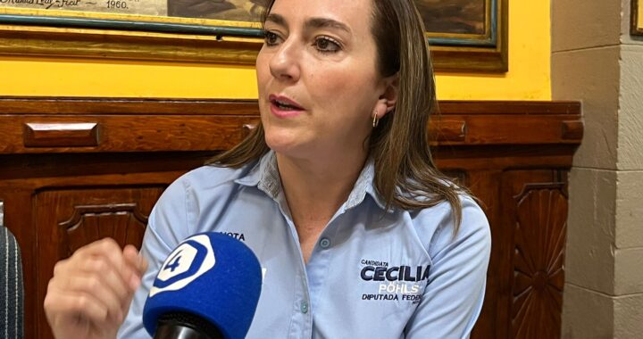 Ayuda de la federación en becas, afecta a la juventud: Pöhls
