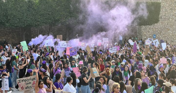 Más allá del gasto, crear Instituto de la Mujer es una inversión