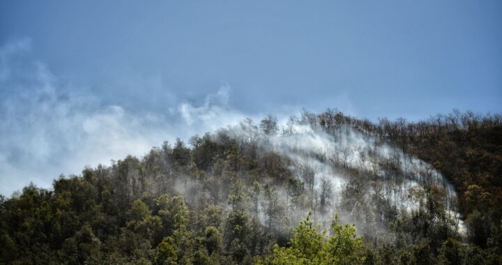 Aprueba Ayuntamiento 1.5MDP para combatir el incendio forestal en la sierra