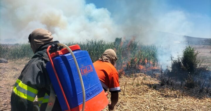 Controlan incendios en Yuriria y Jerécuaro