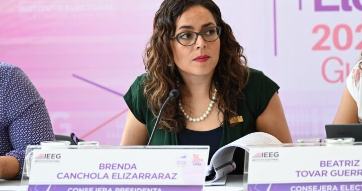 Desconoce IEEG sobre si candidatos han dejado de hacer campaña por el tema de inseguridad