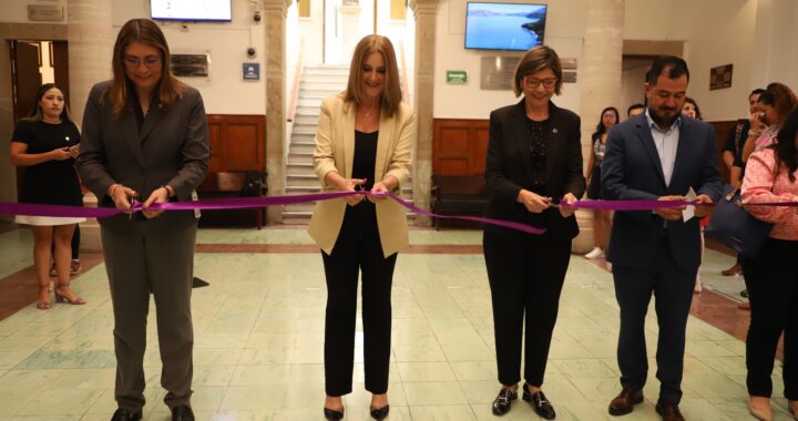 «Mujeres y Democracia: historia ilustrada de la participación política de las mujeres» llega a la UG Edifico Central DDPyG