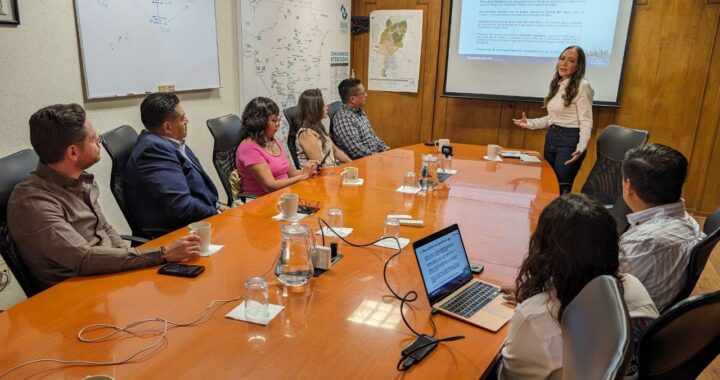 Propone Samantha Smith empleos temporales para remediar deforestación
