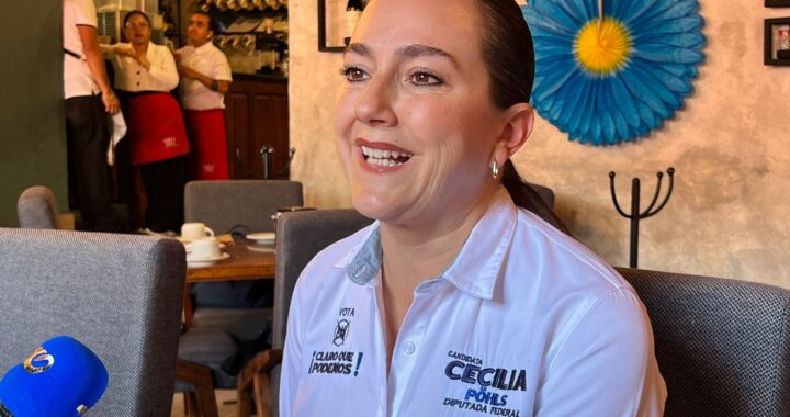 Propone Cecilia Pöhls Covarrubias una bolsa de empleo para jóvenes