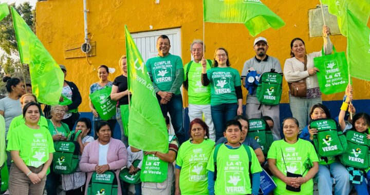 Ciudadanos capitalinos insisten en mantener áreas verdes