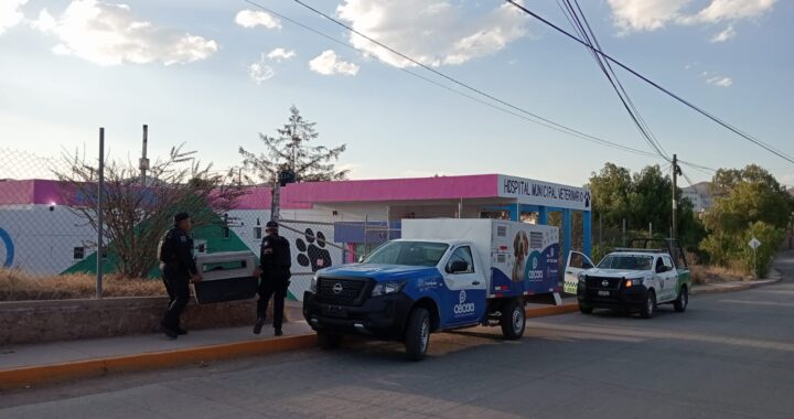 Interponen denuncia por maltrato animal ante el MP por abandono de 2 perros