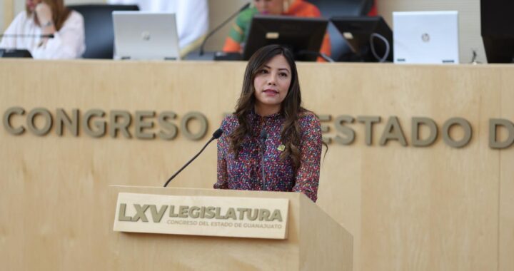 Propone partido Verde nuevas reformas contra el maltrato animal