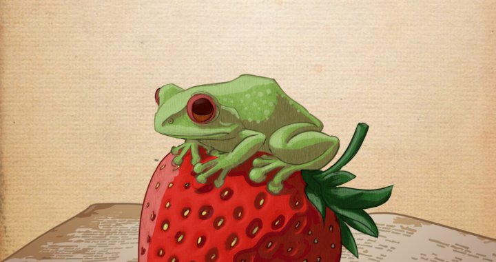 Abandera Ediciones La Rana letras guanajuatenses en Feria del Libro de Irapuato