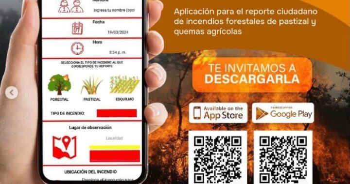 Investigadora UG: a través de IGNIS, se han recibido más de mil 500 reportes de incendios forestales en el estado   
