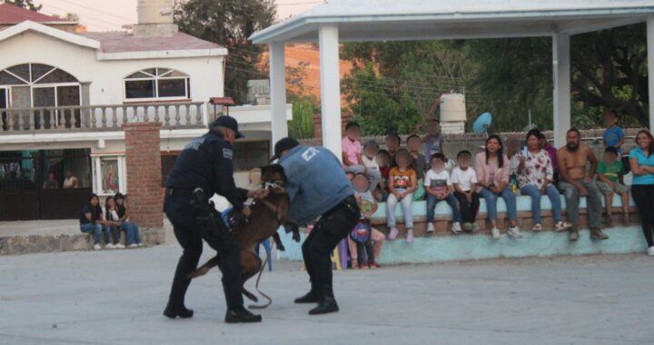 Llevan exhibición del grupo canino K-9 a comunidades para fomentar la prevención