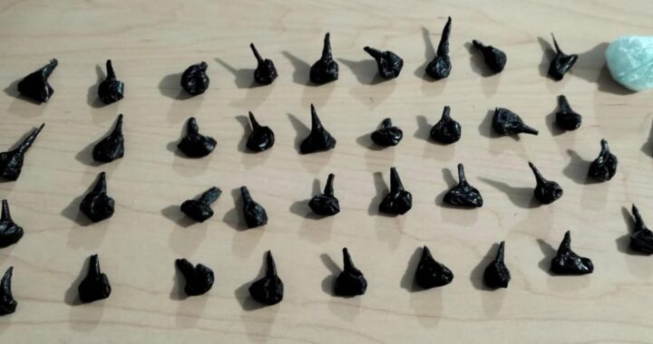 Detienen a joven con 38 dosis de presunta droga; lo acompañaba un presunto elemento de la SEDENA