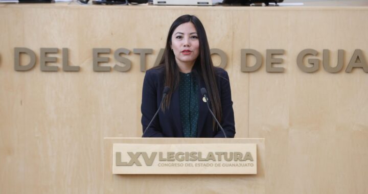 Propone el PVEM regular casetas de vigilancia en fraccionamientos