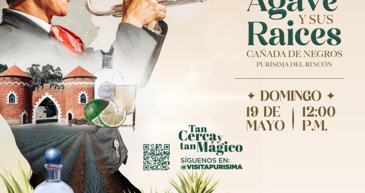 Preparan Festival del Agave y sus Raíces en Cañada de Negros