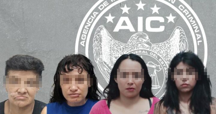 Desarticulan a un grupo delictivo que operaba en Romita