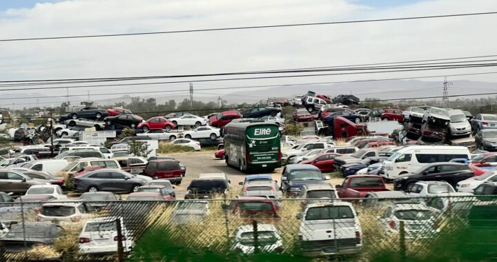 Ya no tenía caso regular los autos chocolate