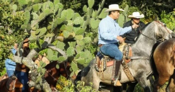 Gobernador se reintegra a sus actividades pese a haberse fracturado las costillas