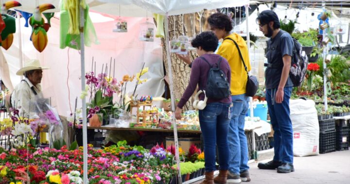 Disfrutan del tradicional ‘Paseo de las Flores’ en el jardín El Cantador