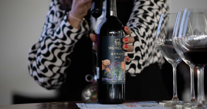 Descubre porqué Guanajuato es el nuevo centro de la enología y la vitivinicultura