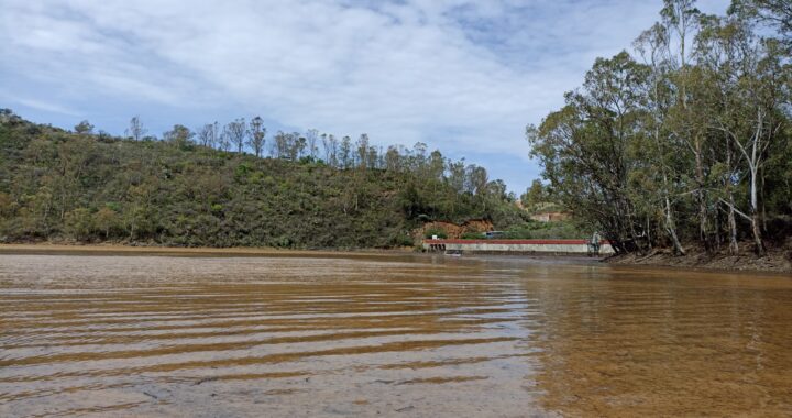 Almacena Guanajuato 83 por ciento de los niveles de captación de agua
