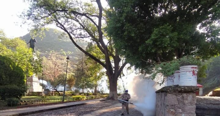 Intensifican trabajos contra el dengue en Guanajuato Capital