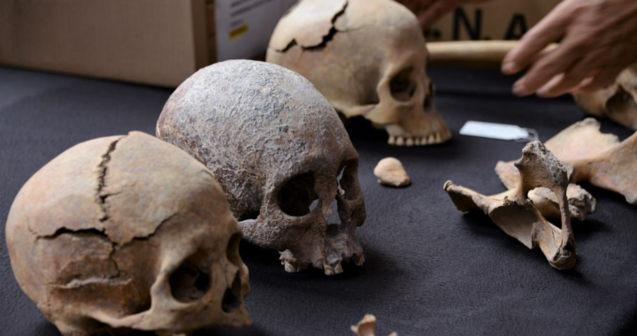Análisis antropofísico de más de 100 restos óseos da testimonio de la vida prehispánica en terrenos del AIFA