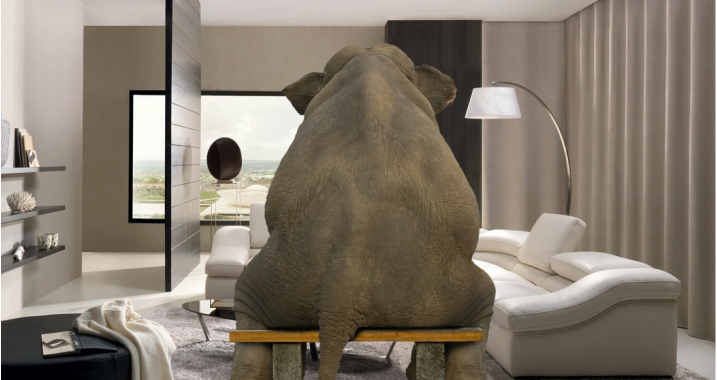 Elefante en la habitación