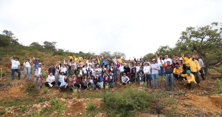 Arranca SMAOT Temporada de Reforestación 2024