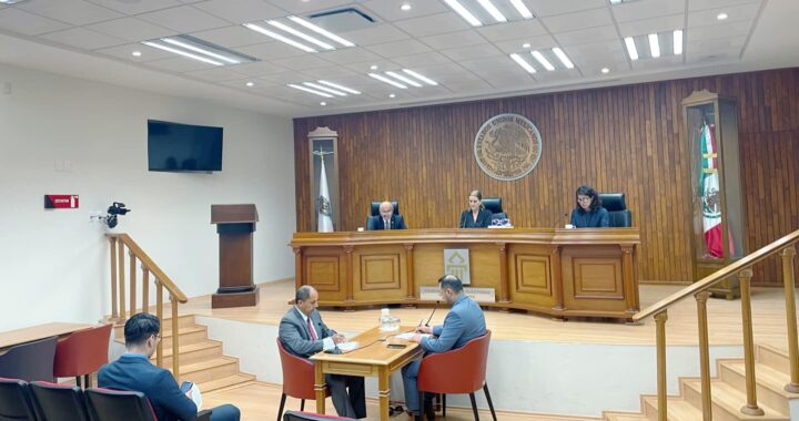 Sanciona el TEEG a Gerardo Fernández por violencia política en razón de género