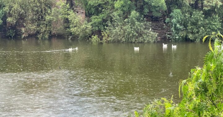 Llama SIMUB, no ingresar a presas en temporada de calor