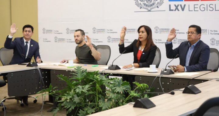 Conformación del Consejo de Buscadoras debe aprobarse en periodo extraordinario