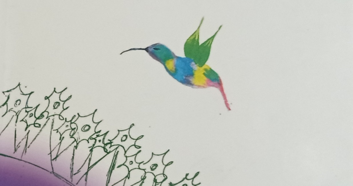 Para disfrutar y reflexionar