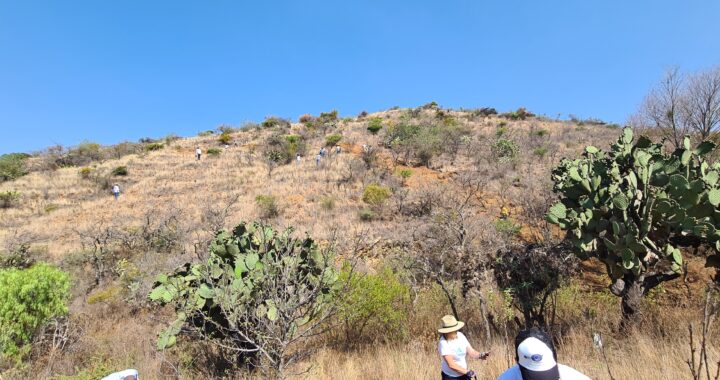 Guanajuato avanza en la protección ambiental con el Programa Estratégico de Compensación Ambiental