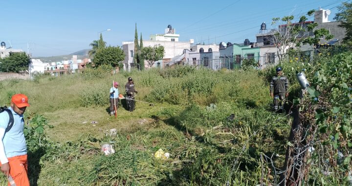 Se unen vecinos y Servicios Públicos para descacharrizar el fraccionamiento Independencia