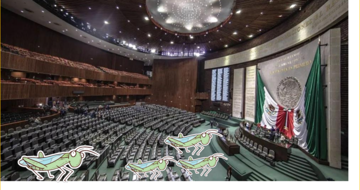 El chapulineo fase superior del pragmatismo político