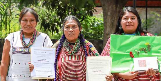 En 2024, la patria sabe a diversidad cultural