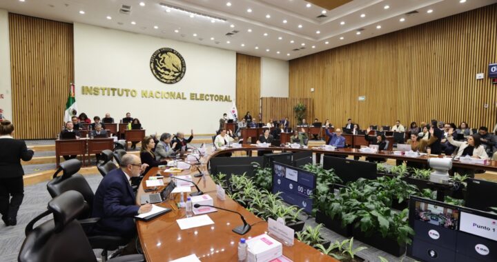 Designa INE a nueva consejera electoral en el IEEG