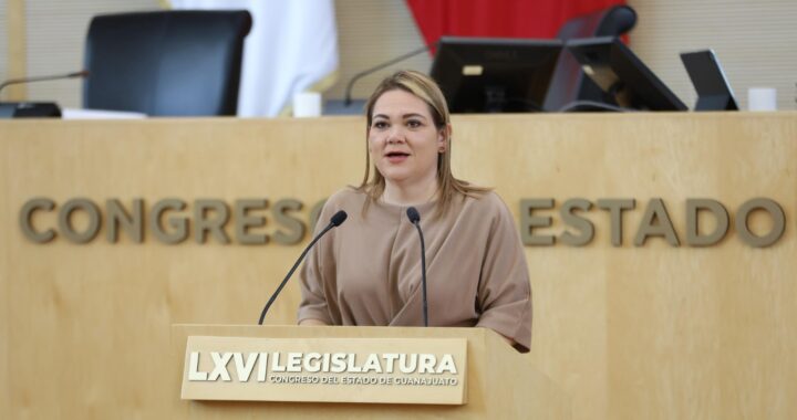 Rocío Cervantes, diputada del PRI, opta por la despenalización del aborto por la vía judicial