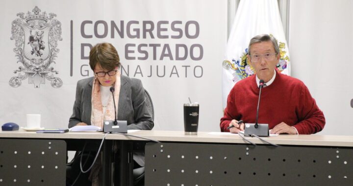 Demanda Angélica Casillas, primero analizar el sistema de salud federal antes de cualquier decisión