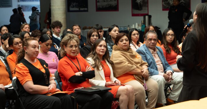 Se requiere el triple de recurso para convertir la dirección de la Mujer en instituto