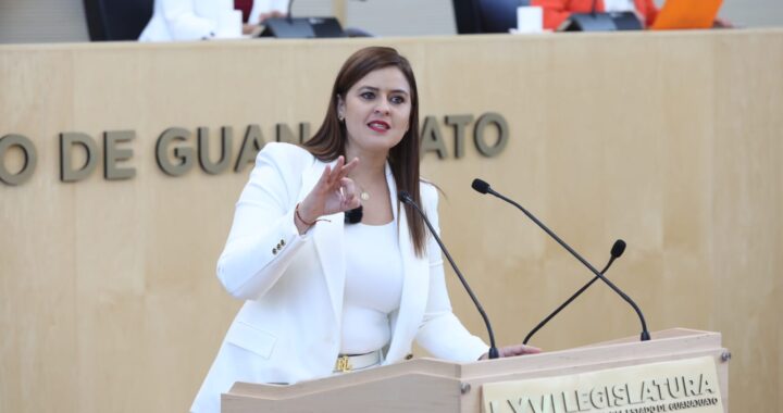 Hay que analizar que sí y que no puede apoyar a la reforma para regular unidades eléctricas