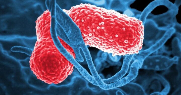 Hay una defunción de un bebé en Guanajuato por bacteria Klebsiella