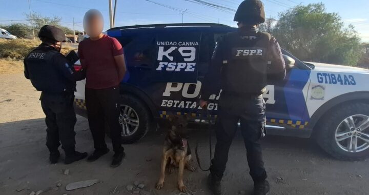 Detienen a hombre armado en Silao con apoyo de Grupo K9