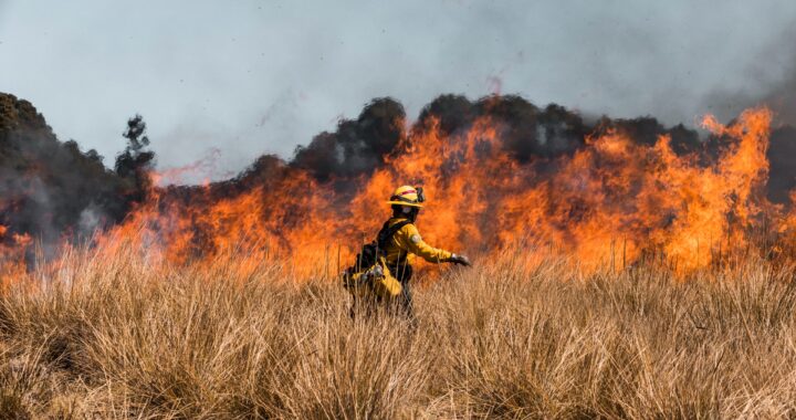 Crecen incendios de pastizales y forestales en la capital