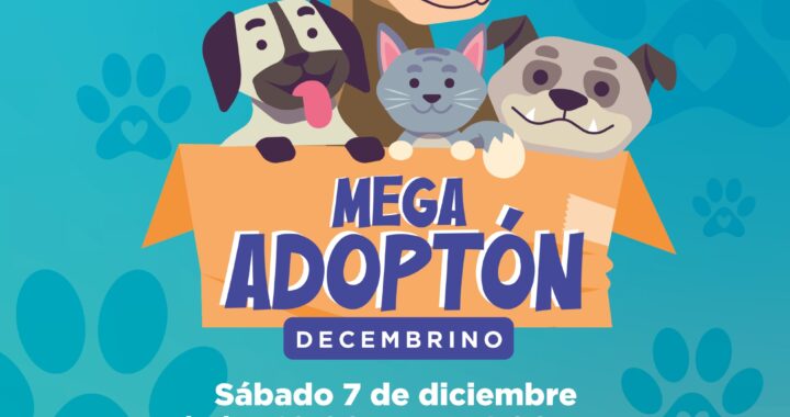 Anuncian Mega Adoptón en Guanajuato