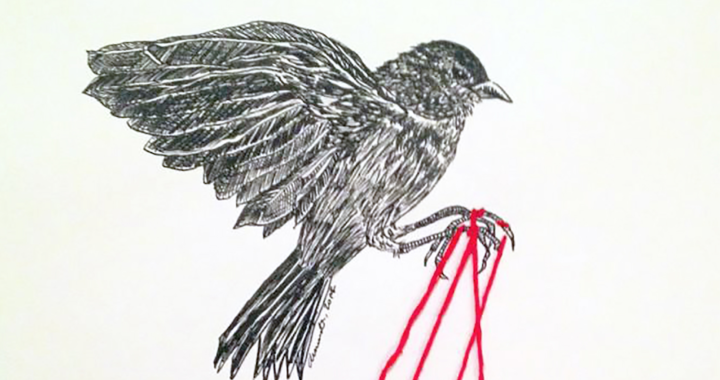 Presentará Amaranta Caballero su serie “Mil pájaros mil, tesis autodoctoral”, en la sala PAAG