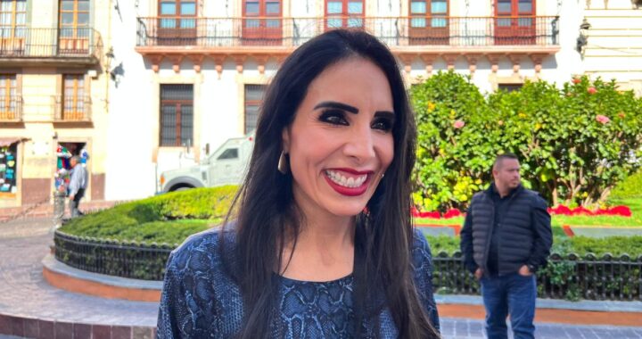 Bajas en ventas de textiles en Moroleón no son tan preocupantes: Alma Sánchez