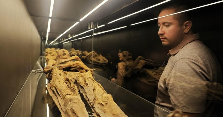 Museo de las Momias de Guanajuato refrenda su calidad de referente turístico en México