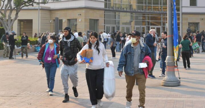 Propone diputada migrante, proteger constitucionalmente a los connacionales