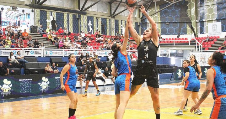 LISTAS MIELERAS PARA DEFENDER SU CORONA