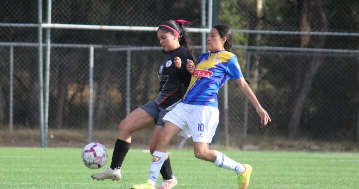 ES LÍDER INTER-GUD AMIGAS EN FÚTBOL PROFESIONAL DE TERCERA DIVISIÓN
